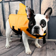 Load image into Gallery viewer, Summer Shark Life Vest for  Dogs
