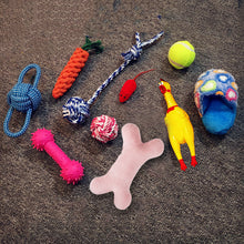 Load image into Gallery viewer, Assorted Dog Toys