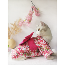 Load image into Gallery viewer, Kimono Style Dress for Cats and Dogs