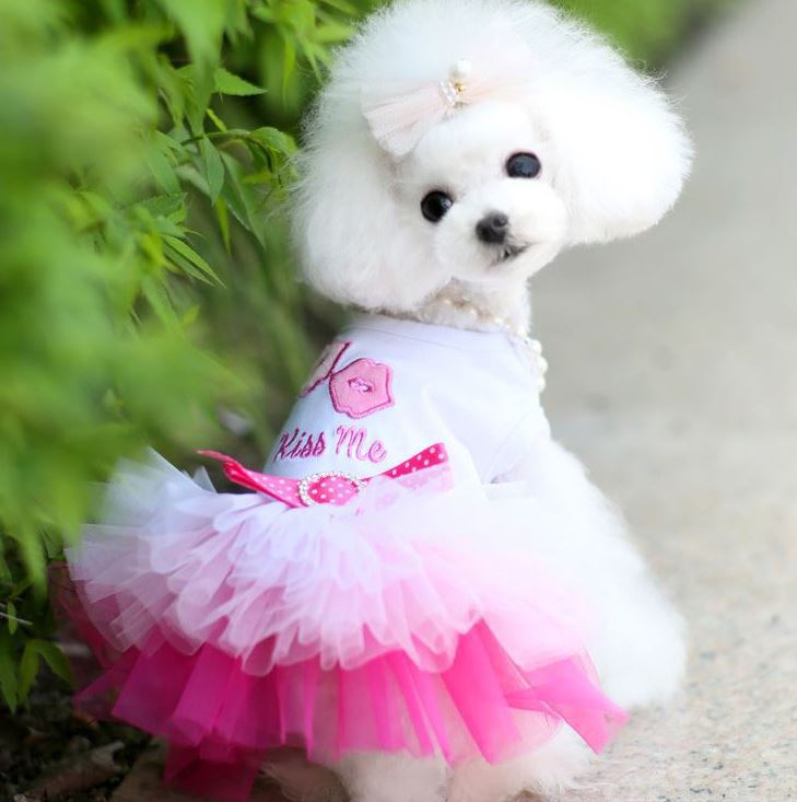 Tutu Party Dress for Dogs and Cats – Play Pal Pet Store