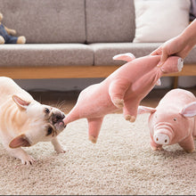 Load image into Gallery viewer, Big Plush Pig Toy for Dogs