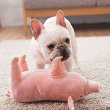 Load image into Gallery viewer, Big Plush Pig Toy for Dogs
