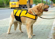 Load image into Gallery viewer, Life Jacket Vest For Dogs