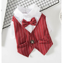 Load image into Gallery viewer, Pin Striped Tuxedo Vest and Shirt for Cats and Dogs