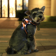 Load image into Gallery viewer, LED Light Dog Harness