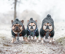 Load image into Gallery viewer, Knitted Winter Beenie Hat For Dogs