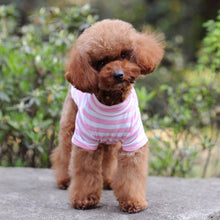 Load image into Gallery viewer, Turtle-Neck Bold Striped Shirt for Dogs and Cats