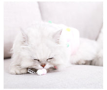 Load image into Gallery viewer, Fluffy Tassel Pullover for Cats