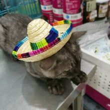 Load image into Gallery viewer, Sombrero Hat for Cats and Dogs