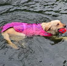 Load image into Gallery viewer, Swim Like a Fish Life Jacket for Dogs