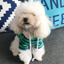 Load image into Gallery viewer, Striped Sweater Hoodie for Dogs