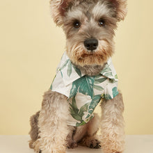 Load image into Gallery viewer, Resort Print Shirt for Dogs and Cats