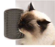 Load image into Gallery viewer, Self-Grooming Brush Pet Wall Rubbing Device