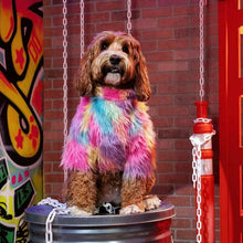 Load image into Gallery viewer, Faux Fur Shaggy Rainbow Dog Sweater