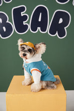 Load image into Gallery viewer, Hooded Friend Sweater Vest for Dogs