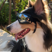 Load image into Gallery viewer, Waterproof, Windproof, Sunscreen UV Dog Goggles
