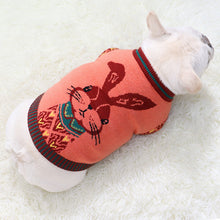 Load image into Gallery viewer, Autumn Rabbit Sweater for Dogs
