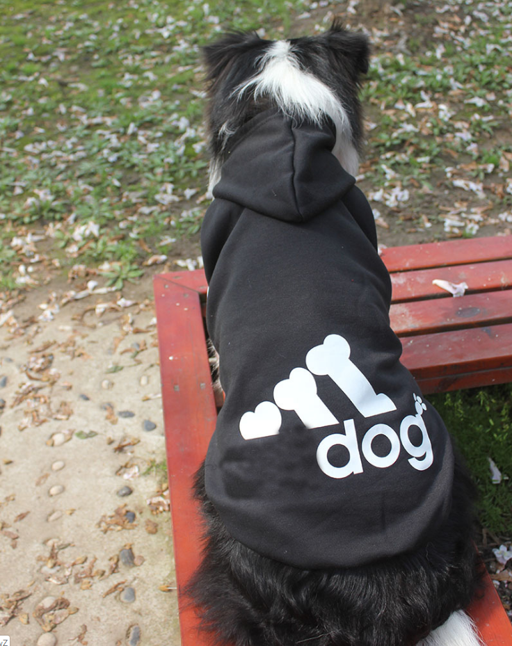 Adidog Hoodie for Dogs