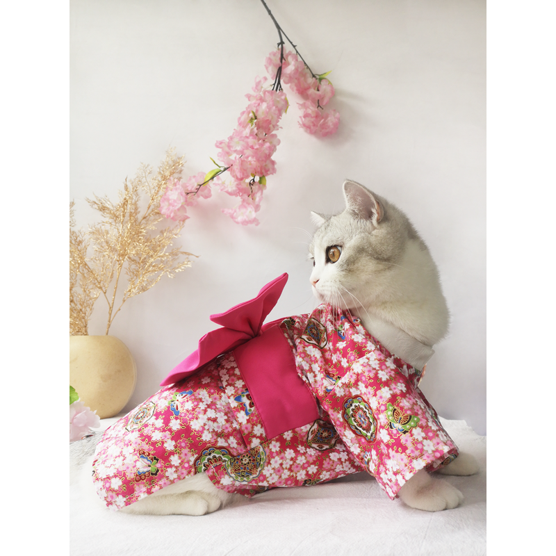 Kimono Style Dress for Cats and Dogs