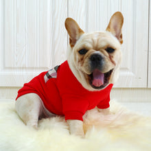 Load image into Gallery viewer, Comfy Crewneck Sweatshirt for Dogs
