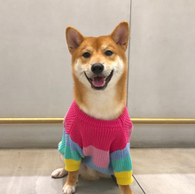 Load image into Gallery viewer, Rainbow Knit  Sweater for Dogs
