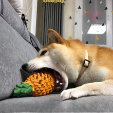 Load image into Gallery viewer, Fruit Shaped Chew Toy for Dogs
