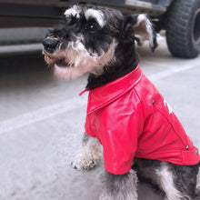 Load image into Gallery viewer, Faux Leather Biker Jacket for Dogs
