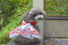 Load image into Gallery viewer, Ribbon Trimmed Tea Party Dress for Dogs and Cats
