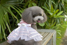 Load image into Gallery viewer, Ribbon Trimmed Tea Party Dress for Dogs and Cats
