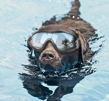 Load image into Gallery viewer, Waterproof, Windproof, Sunscreen UV Dog Goggles
