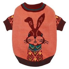 Load image into Gallery viewer, Autumn Rabbit Sweater for Dogs
