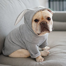 Load image into Gallery viewer, Bunny Ear Hoodie for Dogs
