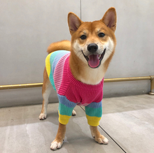 Load image into Gallery viewer, Rainbow Knit  Sweater for Dogs
