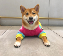 Load image into Gallery viewer, Rainbow Knit  Sweater for Dogs
