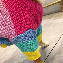 Load image into Gallery viewer, Rainbow Knit  Sweater for Dogs
