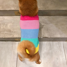 Load image into Gallery viewer, Rainbow Knit  Sweater for Dogs
