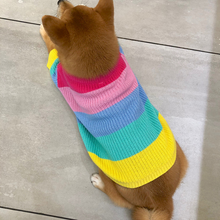 Load image into Gallery viewer, Rainbow Knit  Sweater for Dogs
