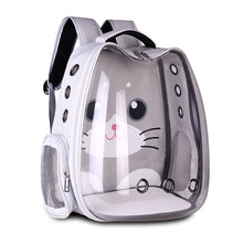 Load image into Gallery viewer, Bubble Clear Back Pack for Pets
