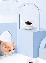 Load image into Gallery viewer, Automatic Electric Cat Toy
