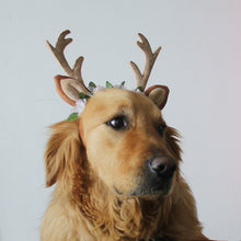 Load image into Gallery viewer, Christmas Antlers for Pets
