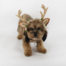 Load image into Gallery viewer, Christmas Antlers for Pets
