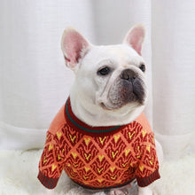 Load image into Gallery viewer, Autumn Rabbit Sweater for Dogs
