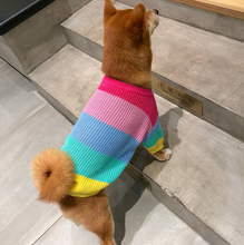 Load image into Gallery viewer, Rainbow Knit  Sweater for Dogs
