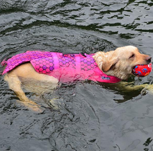 Load image into Gallery viewer, Swim Like a Fish Life Jacket for Dogs
