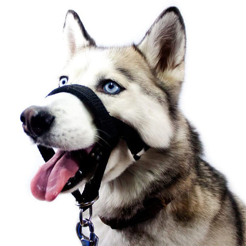 Adjustable Anti-bite Muzzle for Dog