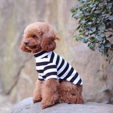 Load image into Gallery viewer, Turtle-Neck Bold Striped Shirt for Dogs and Cats
