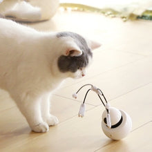 Load image into Gallery viewer, Fun Electronic Cat Toy
