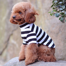 Load image into Gallery viewer, Turtle-Neck Bold Striped Shirt for Dogs and Cats
