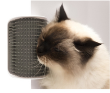 Load image into Gallery viewer, Self-Grooming Brush Pet Wall Rubbing Device
