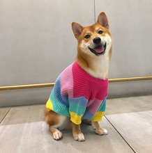 Load image into Gallery viewer, Rainbow Knit  Sweater for Dogs
